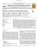 A novel Co, O co-doped Ag2S bimetallic oxysulfide catalyst for efficiently catalytic reduction of 4-nitrophenol and organic dyes