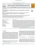 In situ synthesis of highly effective nickel nanocatalyst for methane bireforming