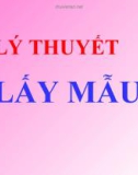 Lý thuyết lấy mẫu