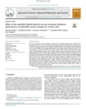 Effect of the modified hybrid particle on the corrosion inhibition performance of polyolefin based coatings for carbon steel