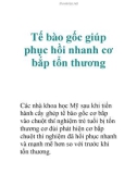 Tế bào gốc giúp phục hồi nhanh cơ bắp tổn thương