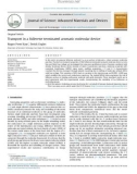 Transport in a fullerene terminated aromatic molecular device