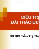 Bài giảng Điều trị đái tháo đường - BS. Trần Thị Thùy Dung