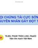 Hội chứng tái cực sớm: Nguyên nhân gây đột tử - TS.BS Phạm Trần Linh