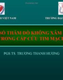 Bài giảng Một số thăm dò không xâm nhập trong cấp cứu tim mạch - PGS.TS. Trương Thanh Hương