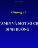 Bài giảng Chương 13: Vitamin và một số chất dinh dưỡng