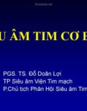 Bài giảng bộ môn Siêu âm tim: Siêu âm tim cơ bản