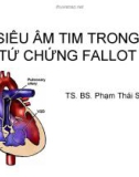 Bài giảng bộ môn Siêu âm tim: Siêu âm tim trong tứ chứng Fallot