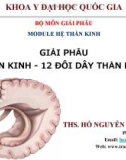 Bài giảng Giải phẫu hệ thần kinh - 12 đôi dây thần kinh sọ