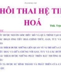 Phôi thai hệ tiêu hóa