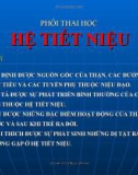 Phôi thai học: Hệ tiết niệu