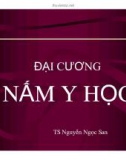 Bài giảng Đại cương Nấm y học - TS. Nguyễn Ngọc San