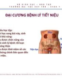 Bài giảng Đại cương bệnh lý tiết niệu - ThS. BS Nguyễn Phúc Học