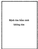 Bệnh tim bẩm sinh không tím