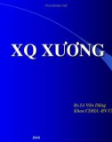 X quang xương