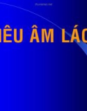 Bài giảng Siêu âm lách