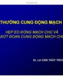 Bài giảng Bất thường cung động mạch chủ: Hẹp eo động mạch chủ và đứt cung động mạch chủ - Dr. La Cẩm Thùy Trúc