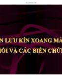 DẪN LƯU KÍN XOANG MÀNG PHỔI VÀ CÁC BIẾN CHỨNG (PHẦN 1)