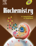 Ebook Biochemistry - With clinical concepts and case studies (4th edition): Part 1