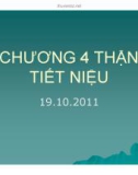 Bài giảng Chương 4: Thận tiết niệu