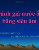 Đánh giá nước ối bằng siêu âm