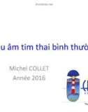 Bài giảng Siêu âm tim thai bình thường