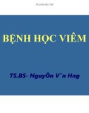 Bài giảng: Bệnh học viêm