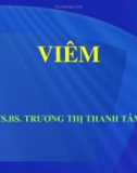 Bài giảng Viêm - TS. Trương Thị Thanh Tâm