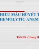 Bài giảng Thiếu máu huyết tán (Hemolytic anemia) – ThS.BS. Chung Hữu Nghị