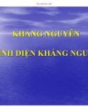 Bài giảng Kháng nguyên trình diện kháng nguyên