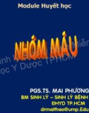 Bài giảng Huyết học: Nhóm máu - PGS. TS Mai Phương Thảo