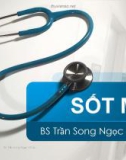 Bài giảng Sốt mò - BS. Trần Song Ngọc Châu