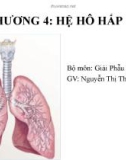 Bài giảng Chương 4: Hệ hô hấp - GV. Nguyễn Thị Thanh Thuần