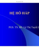 Bài giảng Hệ hô hấp - PGS.TS Lê Thị Tuyết Lan