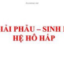 Bài giảng Giải phẫu - Sinh lý hệ hô hấp - BS. CK1. Đào Thanh Hiệp