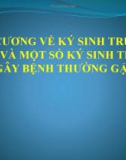 Bài giảng Đại cương về ký sinh trùng y học và một số ký sinh trùng gây bệnh thường gặp