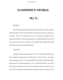 SANDIMMUN NEORAL (Kỳ 2)