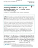 Methylxanthines induce structural and functional alterations of the cardiac system in zebrafish embryos