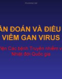 Báo cáo: Chẩn đoán và điều trị viêm gan virus - Viện Các bệnh Truyền nhiễm và Nhiệt đới Quốc gia