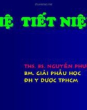 Bài giảng Giải phẫu học: Hệ tiết niệu - ThS.BS. Nguyễn Phước Vĩnh