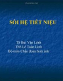 Bài giảng: SỎI HỆ TIẾT NIỆU