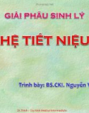 Bài giảng Giải phẫu sinh lý: Hệ tiết niệu - BS.CKI. Nguyễn Văn Thịnh