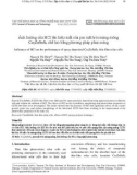 Influence of HCl on the performance of spray-deposited Cu2ZnSnS4 thin film solar cells