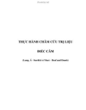 THỰC HÀNH CHÂM CỨU TRỊ LIỆU ĐIẾC CÂM (Lung, Á - Surdité et Muet - Deaf and