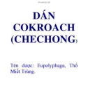 DÁN COKROACH (CHECHONG)