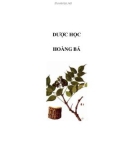 DƯỢC HỌC - HOÀNG BÁ