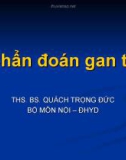 Bài giảng: Chẩn đoán gan to