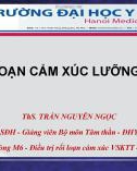 Bài giảng Rối loạn cảm xúc lưỡng cực - ThS. Trần Nguyễn Ngọc