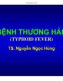 Giải phẫu bệnh thương hàn