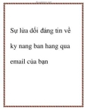 Sự lừa dối đáng tin về kỹ năng bán hàng qua mail của bạn